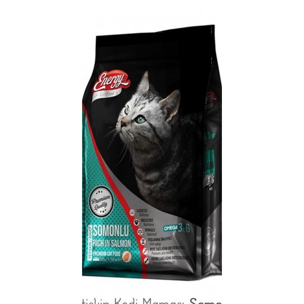 ENERGY YETİŞKİN KEDİ KURU MAMA 500GR SOMONLU