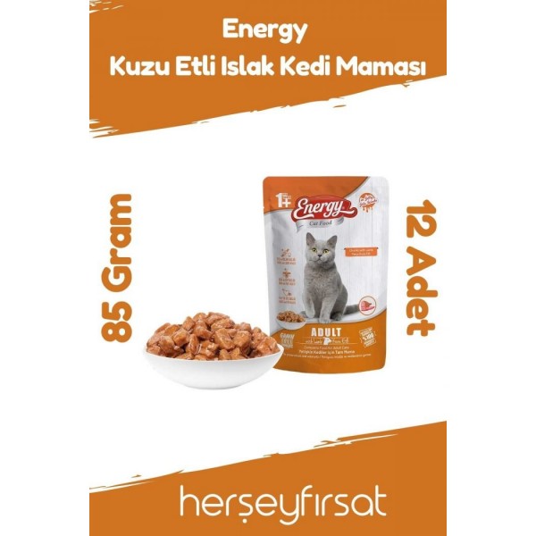 ENERGY POUCH YAŞ MAMASI YETİŞKİN KEDİ  85GR  KUZU ETLİ